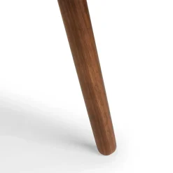 Amoeba 29.5