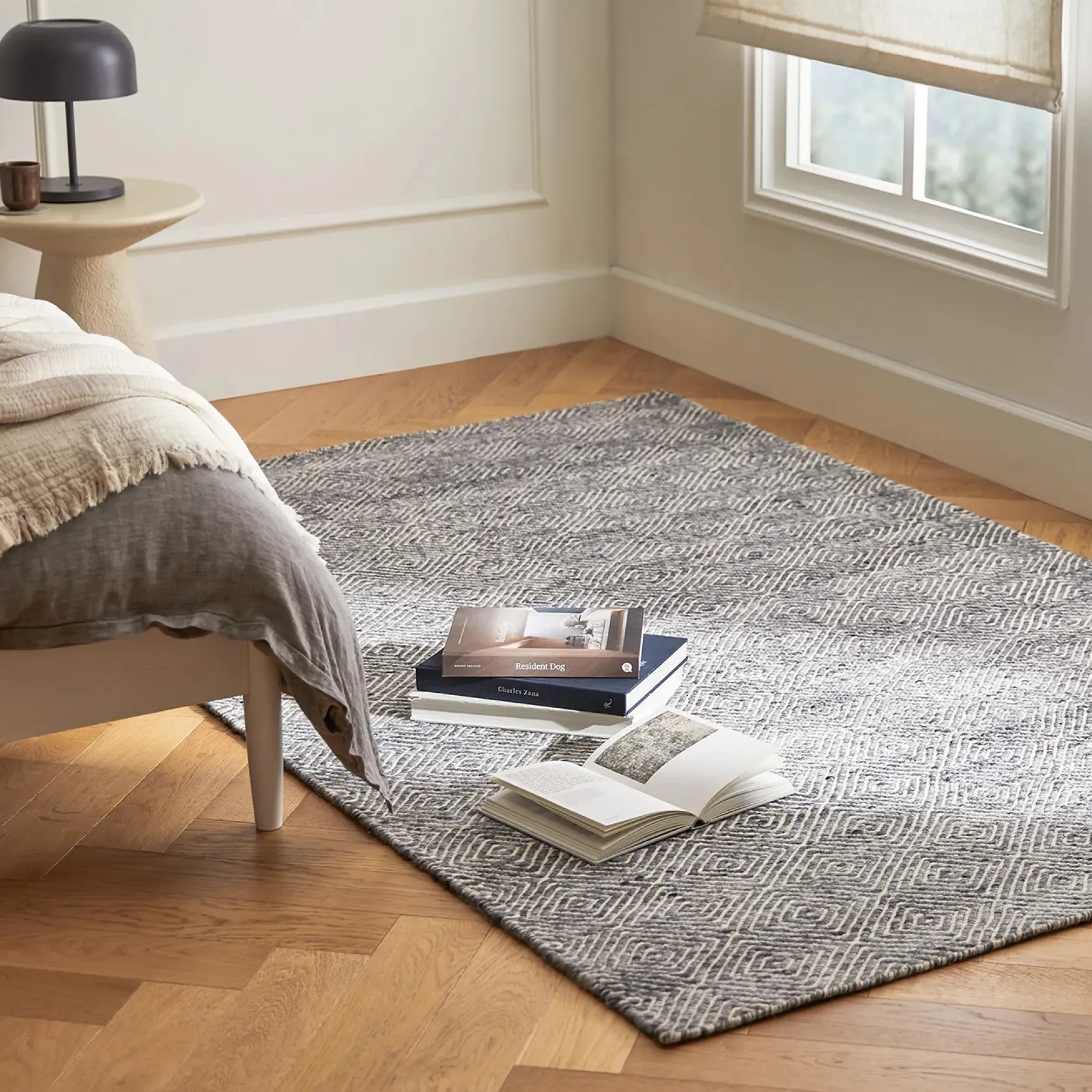 Bovi 5 x 8 Rug - Silver Gray