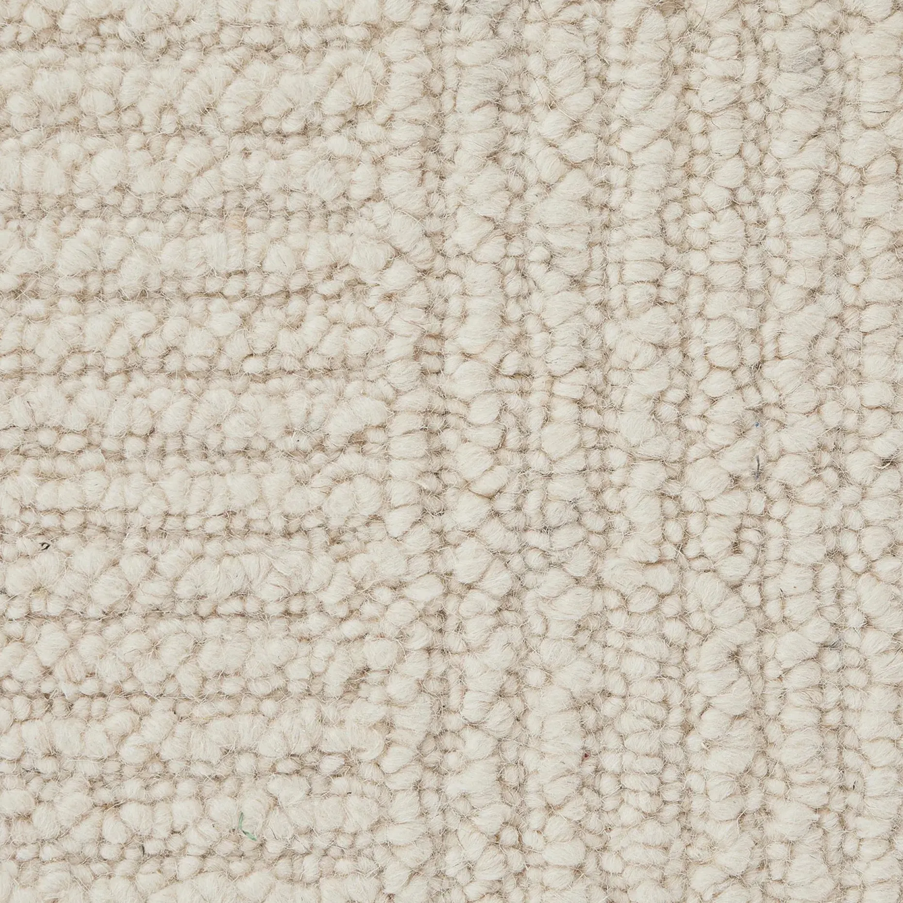 Clyde 9 x 12 Wool Rug - Textured Ivory