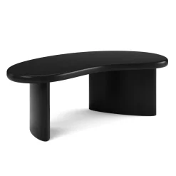 Neah 49" Coffee Table - Black