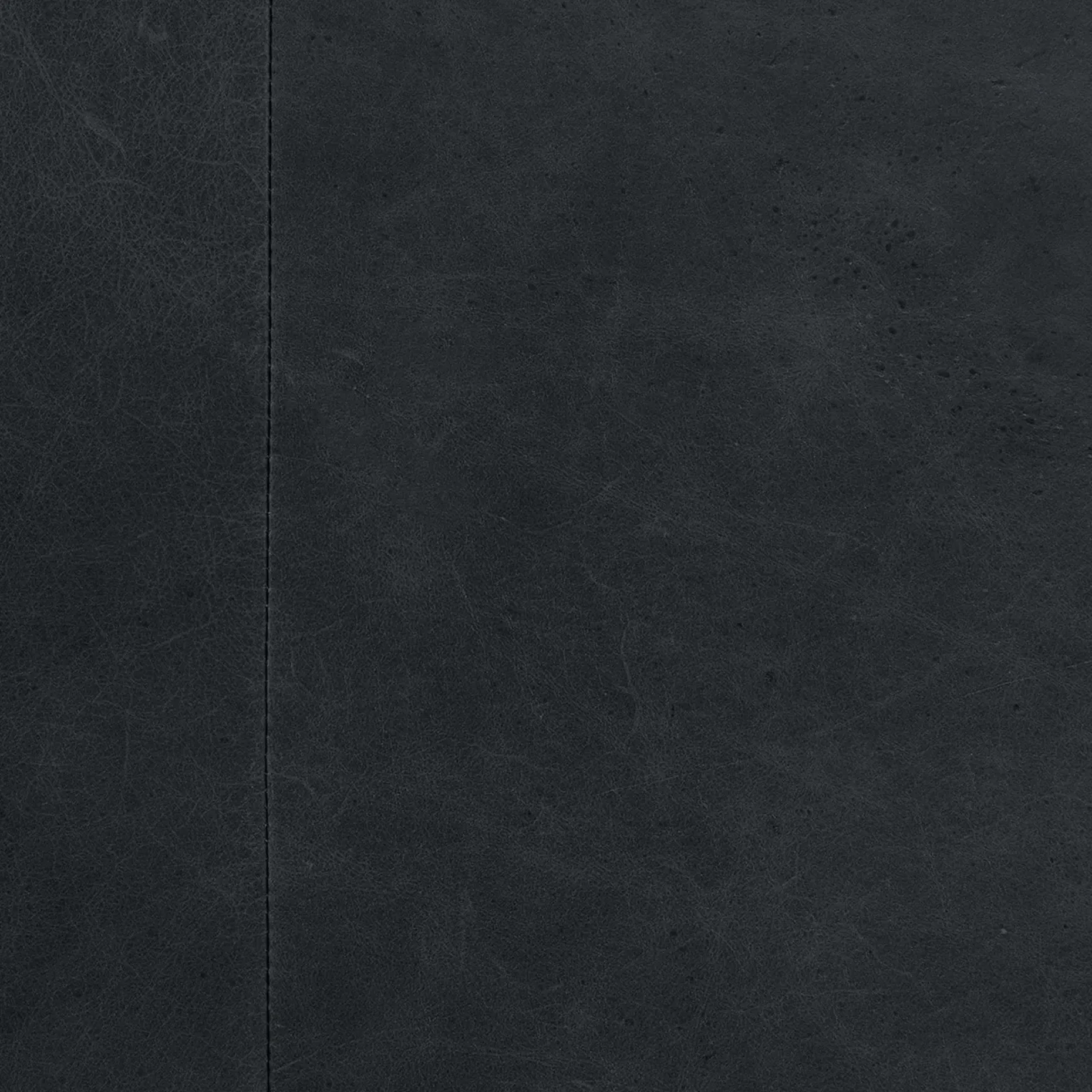 Nord 29" Leather Lounge Chair - Charme Black