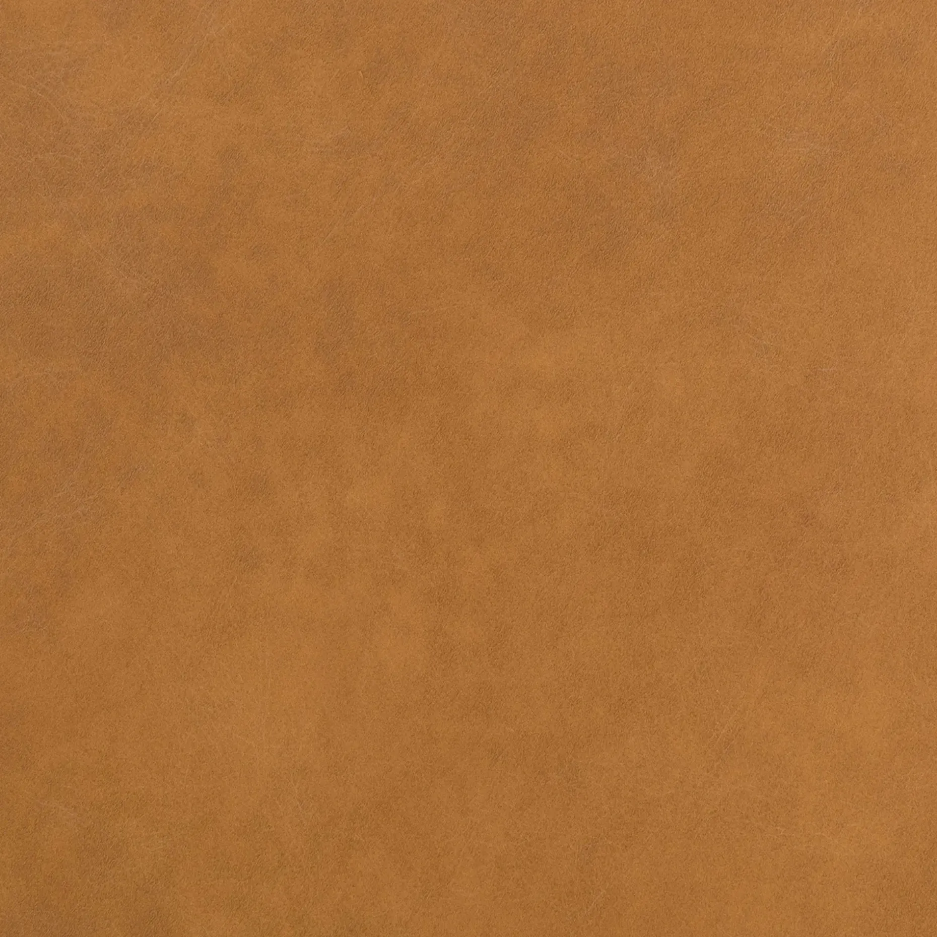 Sede Leather Dining Chair - Walnut and Toscana Tan
