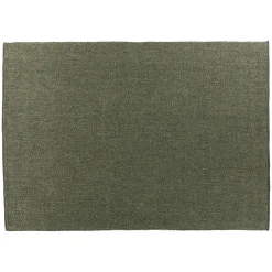 Texa 5 x 8 Rug - Speckled Green