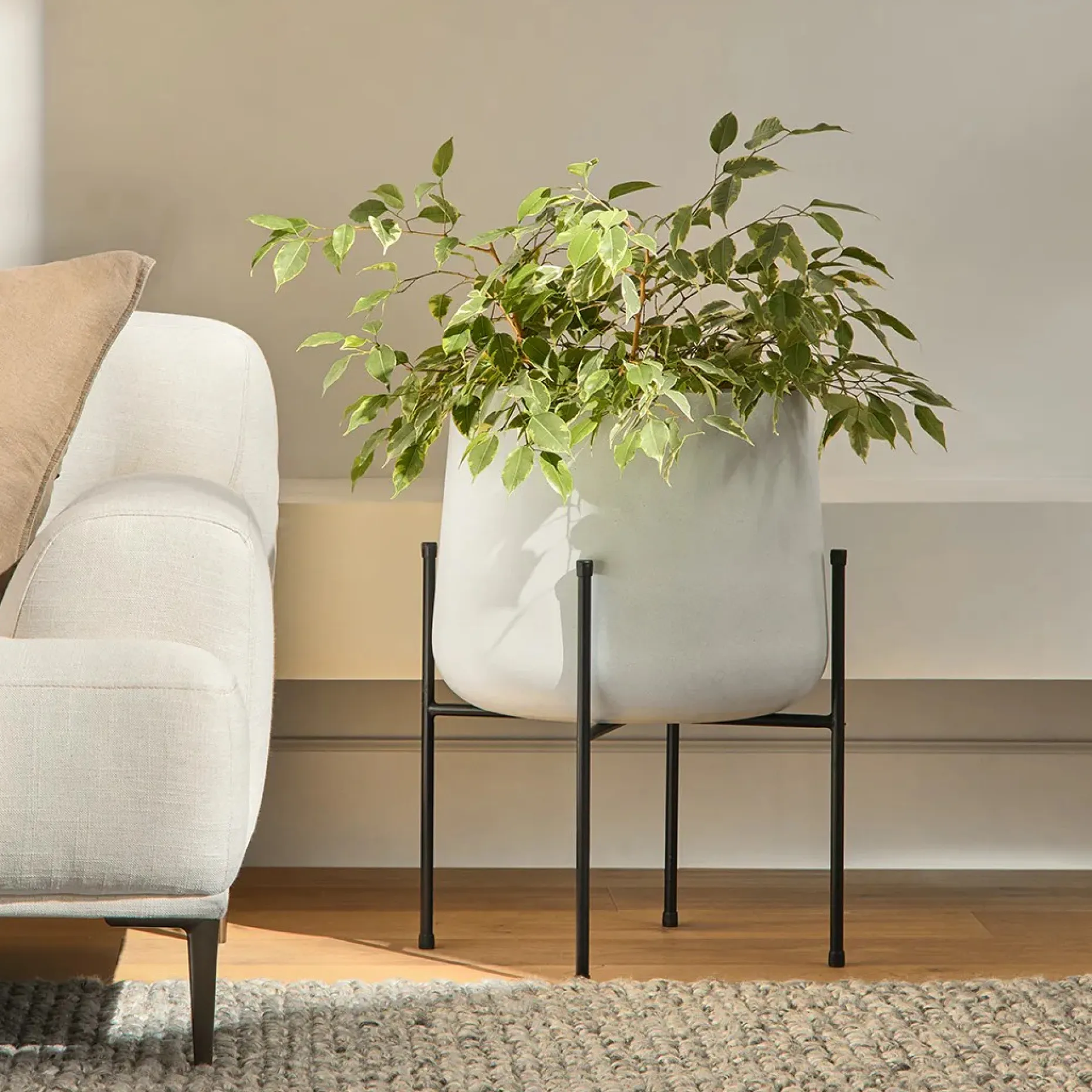 Tuva Wide Indoor/Outdoor Planter Set - White