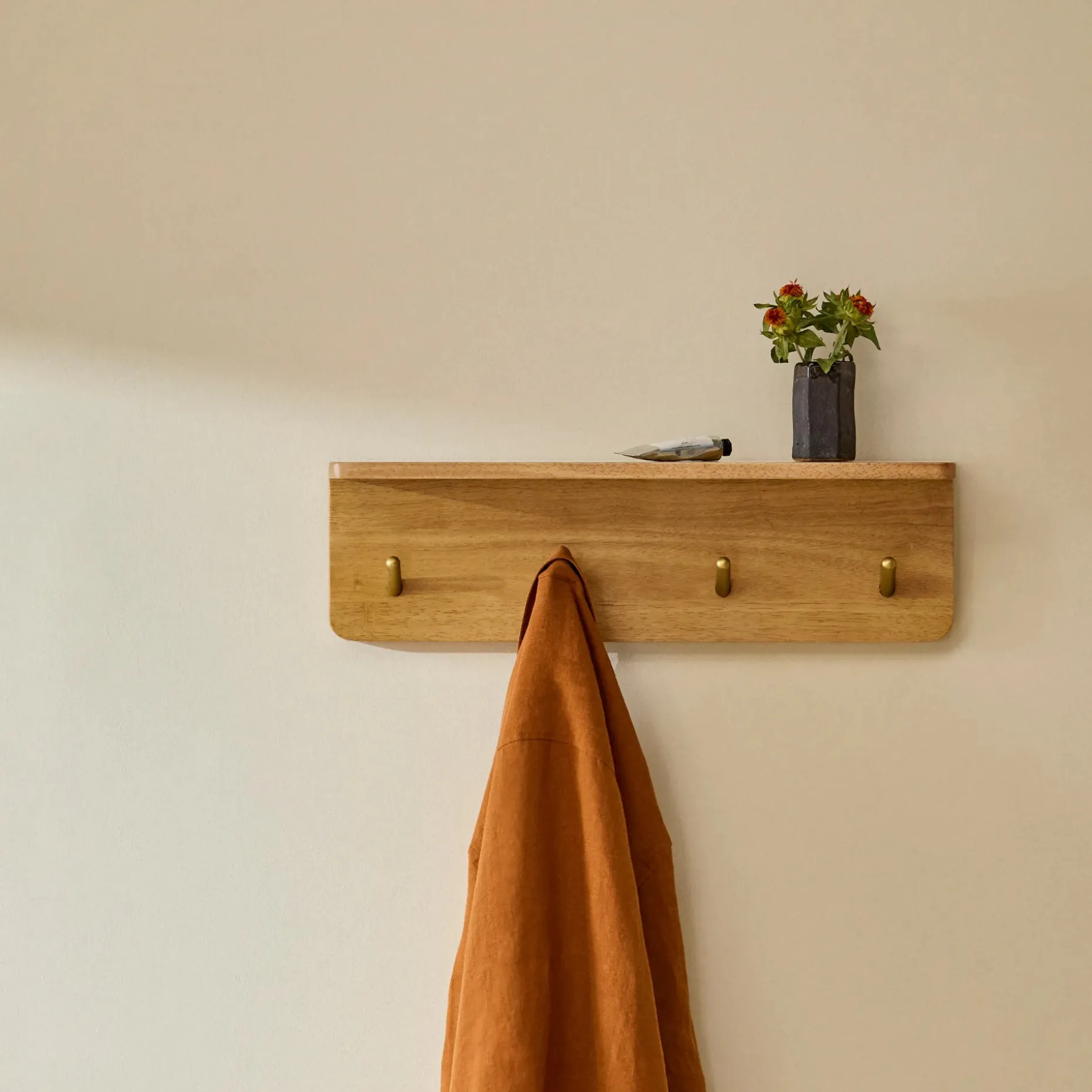 Williams 24" Shelf and Coat Rack - Brass and Oak